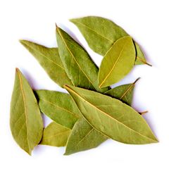 FOLHA DE LOURO RAVAX 500G