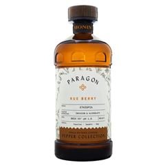 MONIN PARAGON RUE BERRY - 485ML