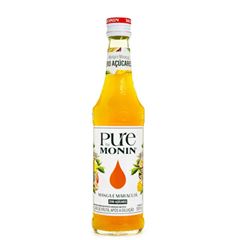 CONCENTRADO MANGA MARACUJA MONIN 330ML